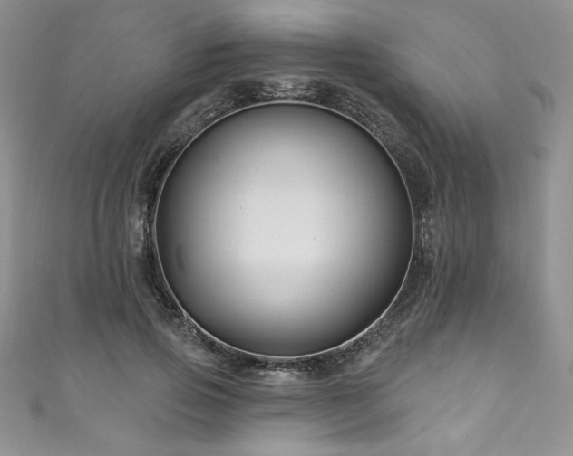 X0000111200741200907011432