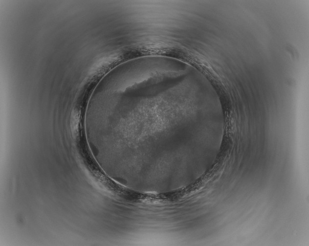 X0000111200742200907011433