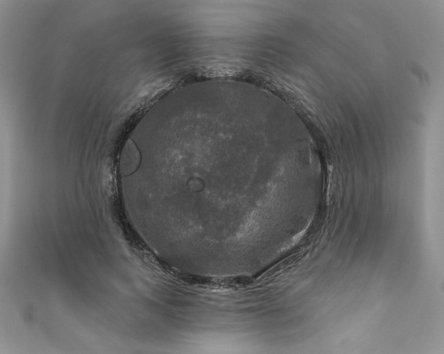 X0000111200743200907011433