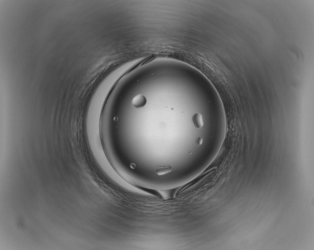 X0000111200744200907011433