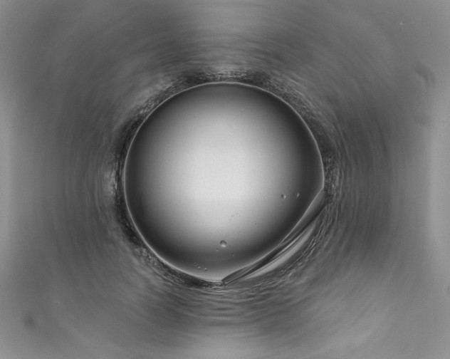 X0000111200746200907011433