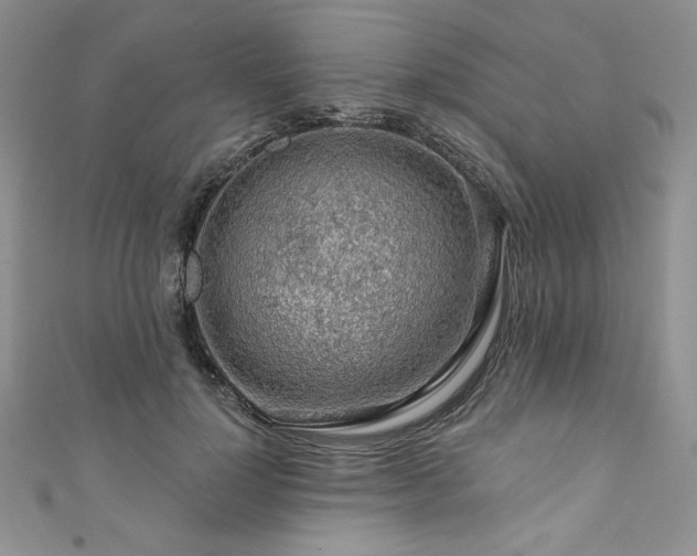 X0000111200748200907011433