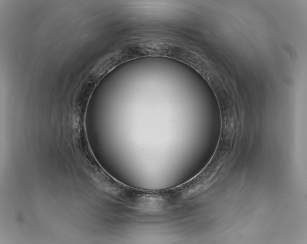 X0000111200749200907011433