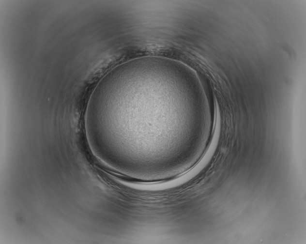 X0000111200750200907011433