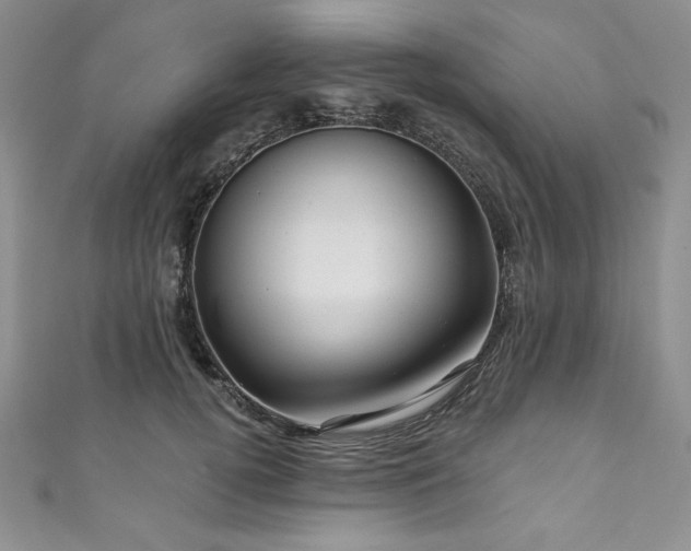 X0000111200752200907011433