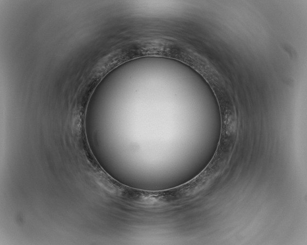 X0000111200753200907011433