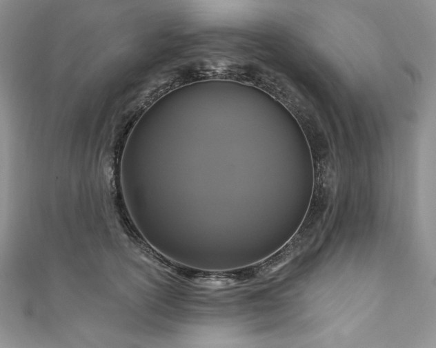 X0000111200754200907011433