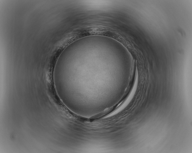 X0000111200755200907011433