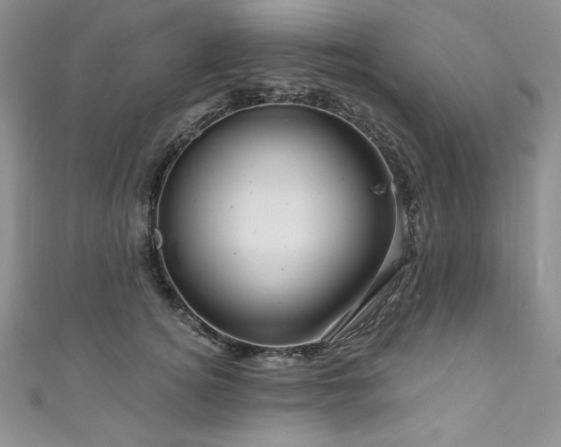 X0000111200756200907011433