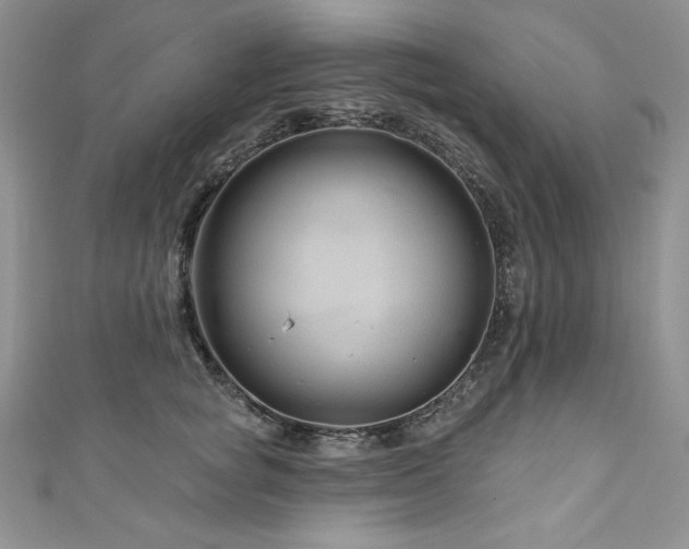 X0000111200757200907011433