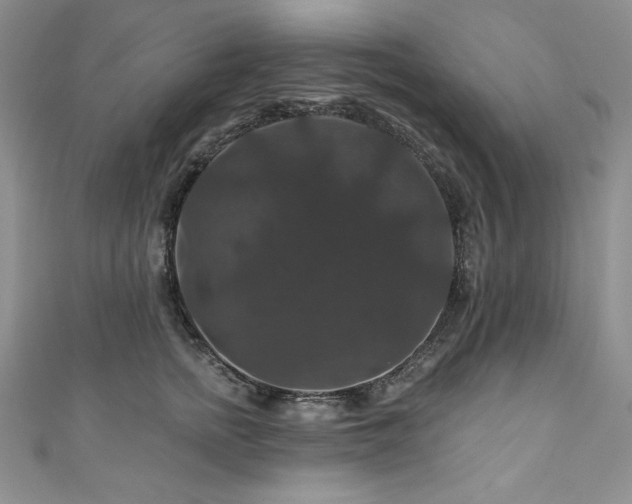 X0000111200758200907011433