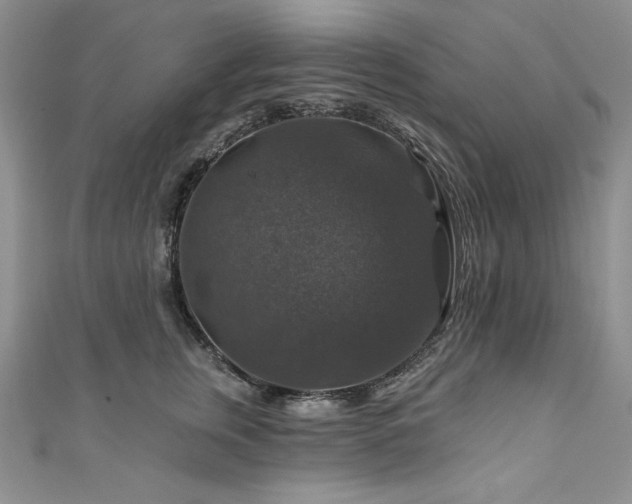 X0000111200759200907011433