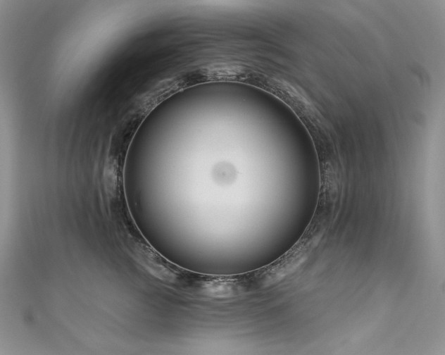 X0000111200761200907011433