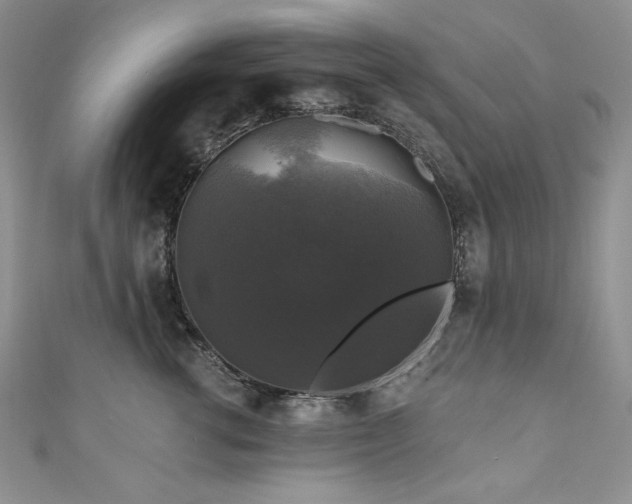 X0000111200762200907011433