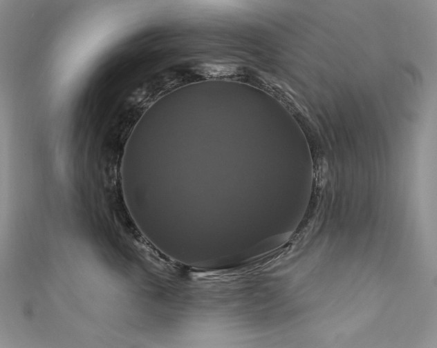 X0000111200763200907011433