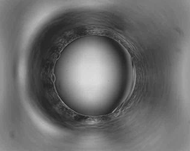 X0000111200764200907011433