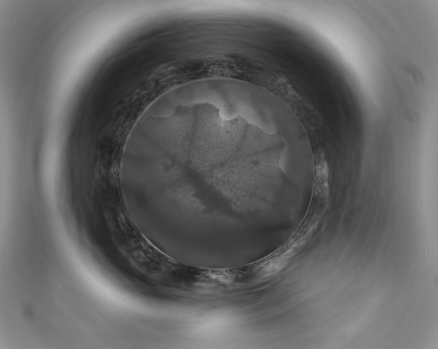 X0000111200765200907011433