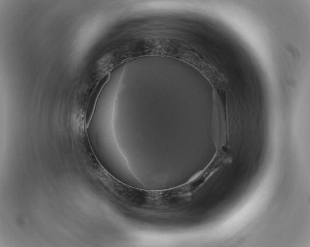 X0000111200766200907011433