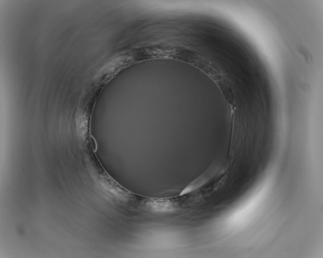 X0000111200767200907011433