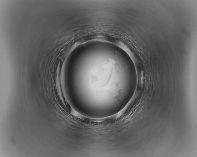 X0000111200769200907011432