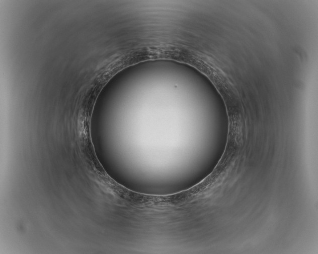 X0000111200770200907011432