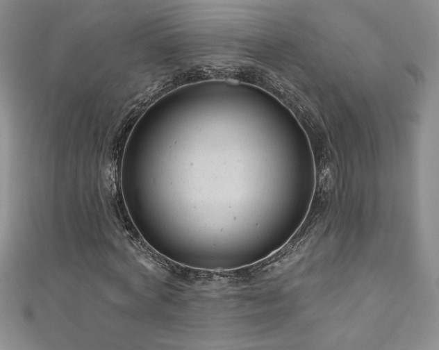 X0000111200772200907011432