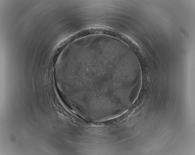 X0000111200775200907011432