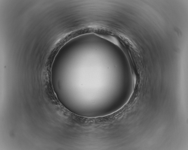 X0000111200776200907011432