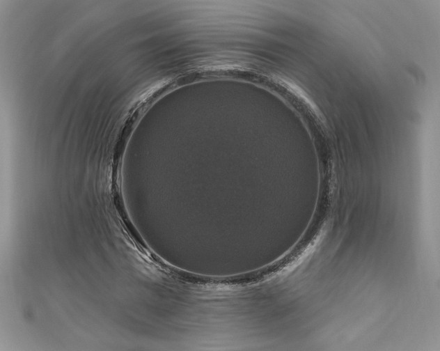 X0000111200777200907011432