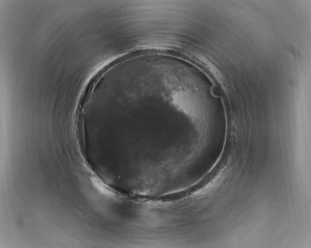 X0000111200779200907011432