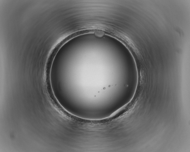 X0000111200780200907011432