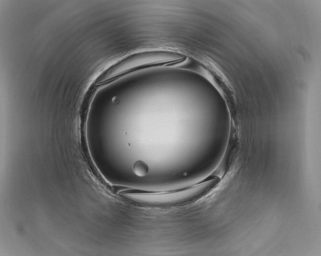 X0000111200781200907011432