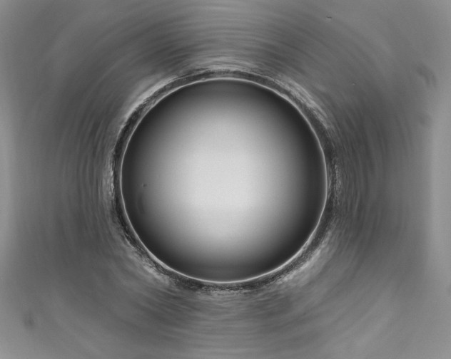 X0000111200782200907011432