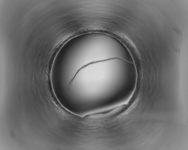 X0000111200785200907011432