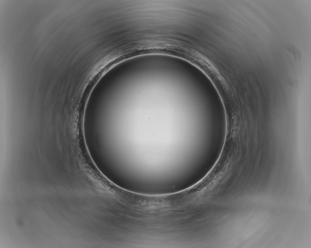 X0000111200786200907011432