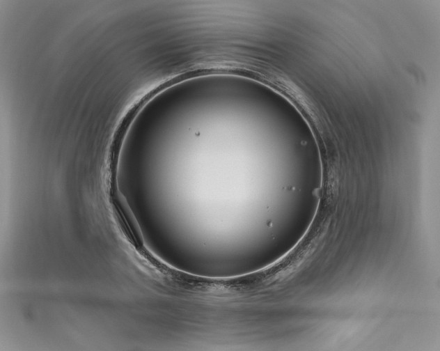 X0000111200787200907011432