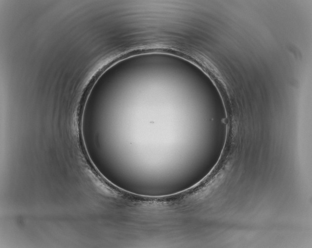 X0000111200789200907011432