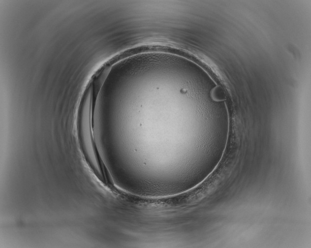 X0000111200791200907011432