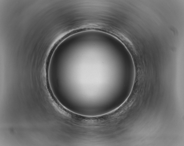 X0000111200792200907011432