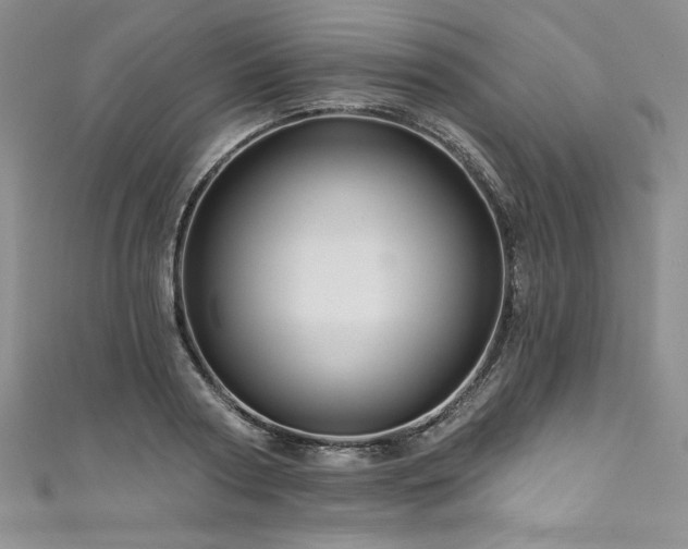 X0000111200794200907011432