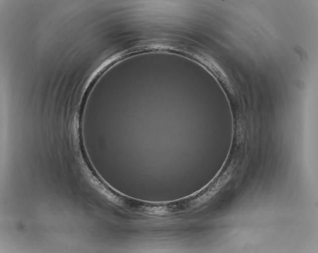 X0000111200798200907011432