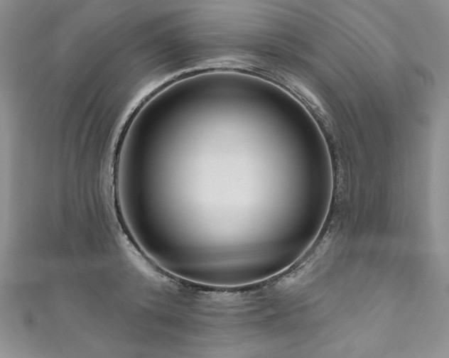 X0000111200800200907011432