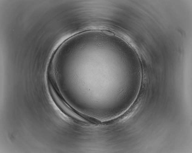 X0000111200803200907011432