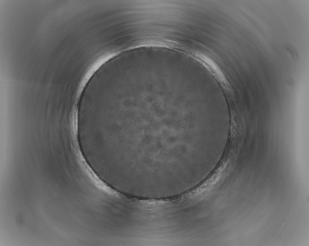 X0000111200804200907011432