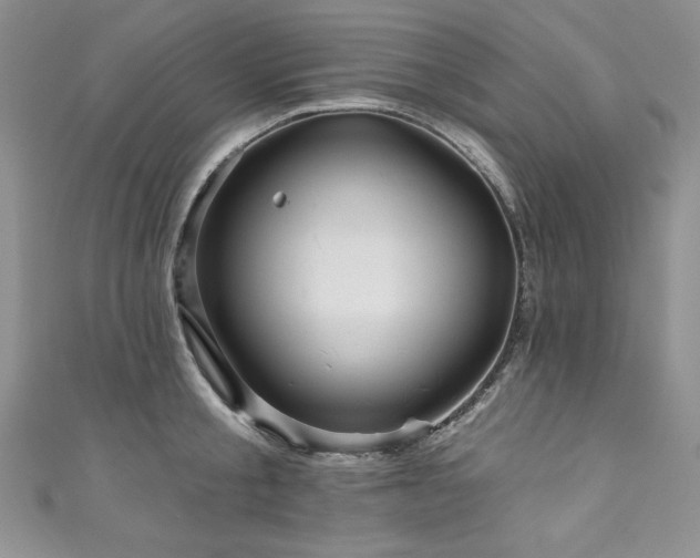 X0000111200805200907011432