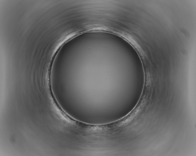 X0000111200806200907011432