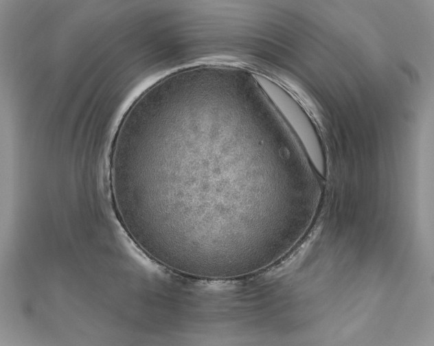 X0000111200808200907011432