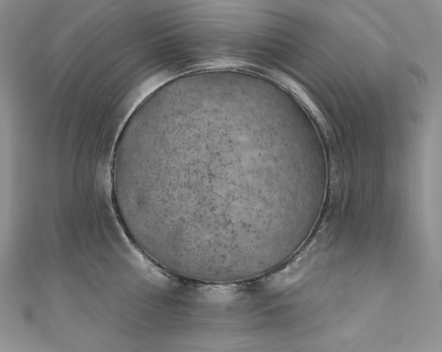 X0000111200810200907011432