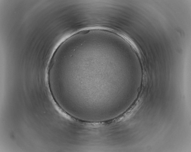 X0000111200813200907011432