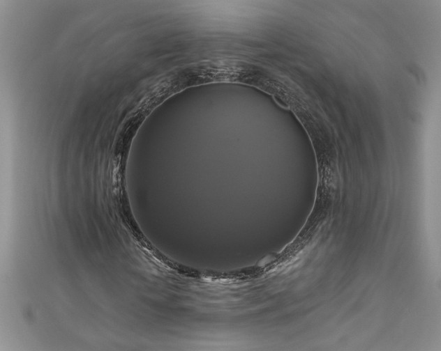 X0000111200818200907011431